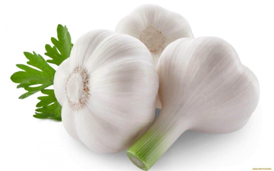 Knoblauch